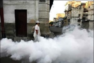 Fumigando...