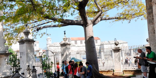 Vueltas a la ceiba del Templete